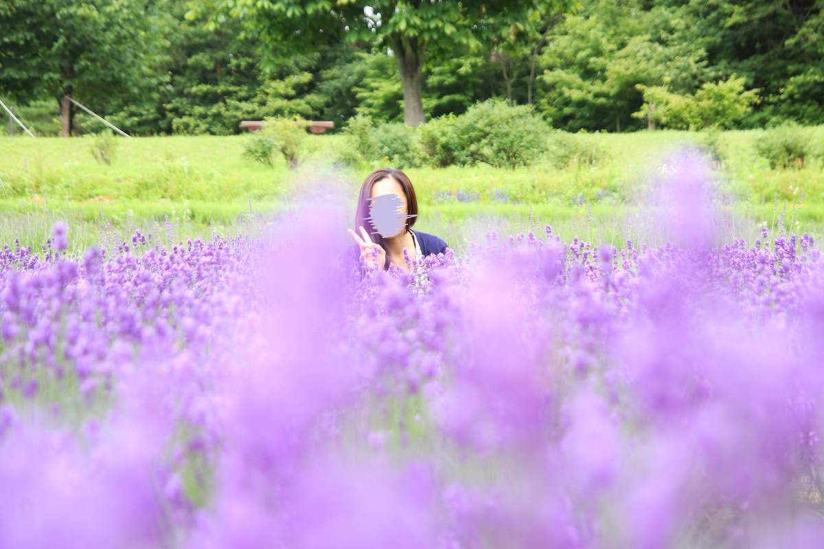 山形県 山辺町ラベンダー祭 香りの癒し 19 7 5 やまとりにっき 山形県 山辺町ラベンダー祭 香りの癒し 19 7 5 やまとりにっき