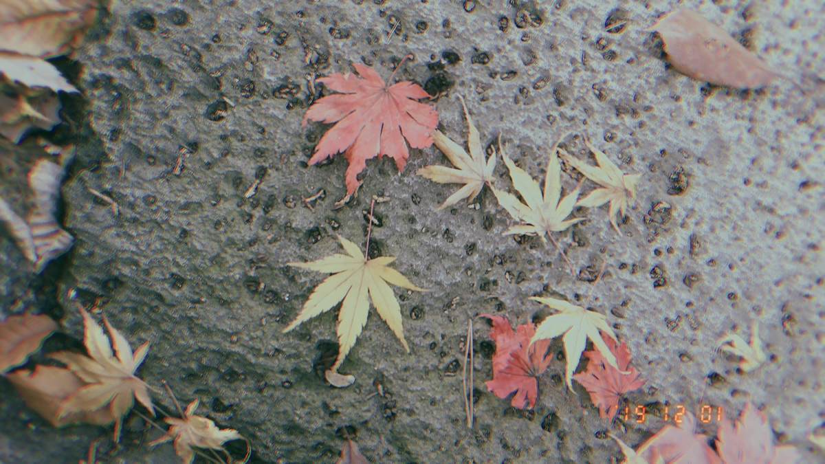 f:id:yamatori0422:20191201140405j:plain f:id:yamatori0422:20191201140405j:plain