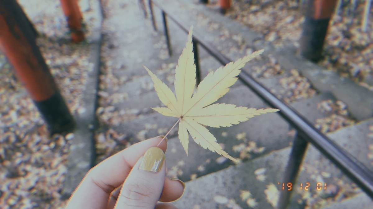 f:id:yamatori0422:20191201141104j:plain f:id:yamatori0422:20191201141104j:plain