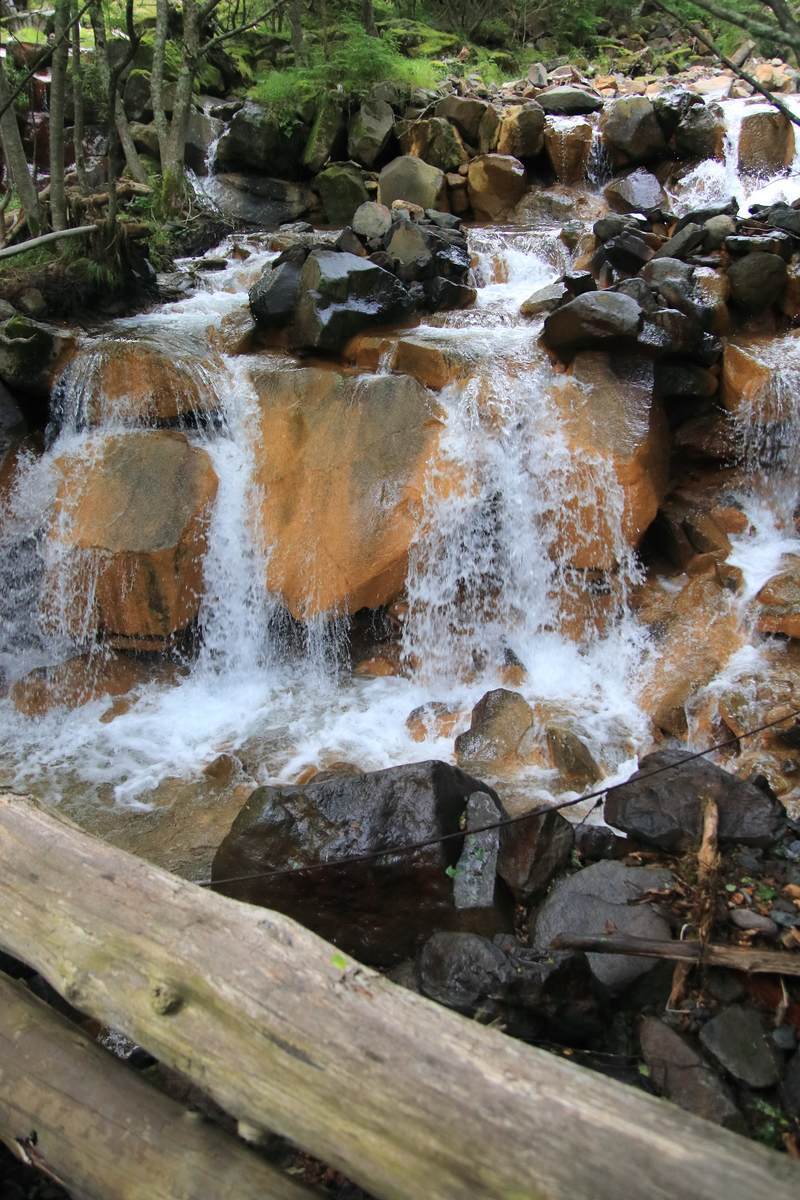 f:id:yamatori0422:20200915211552j:plain