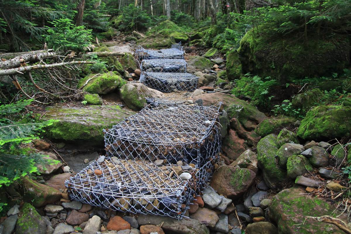 f:id:yamatori0422:20200916210301j:plain