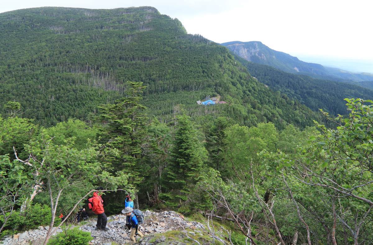 f:id:yamatori0422:20200917213034j:plain