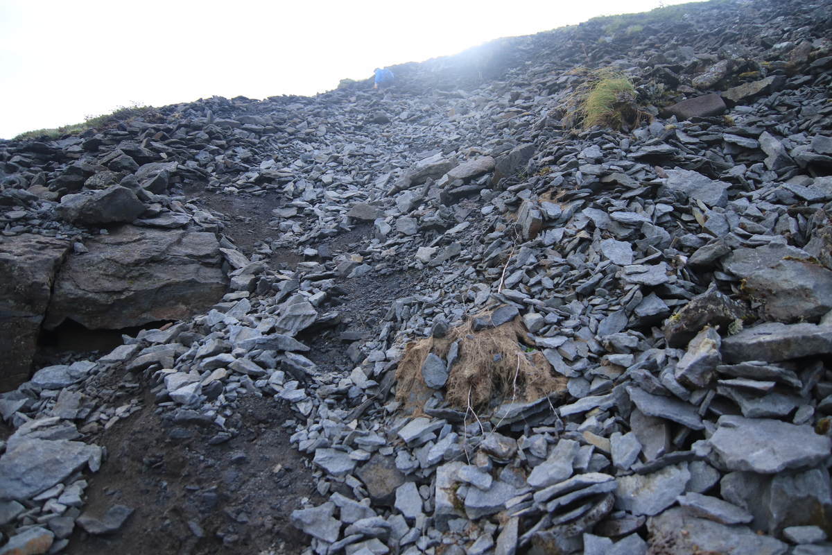 f:id:yamatori0422:20200917213529j:plain