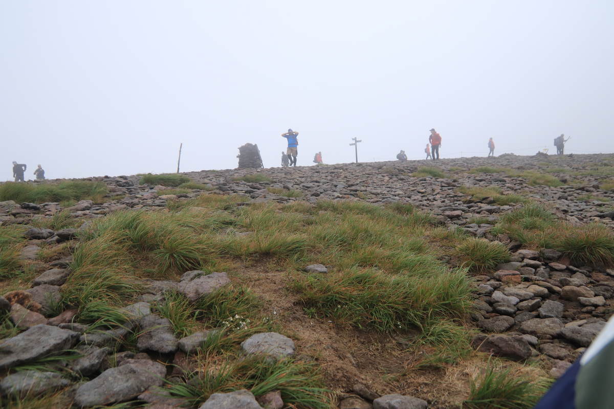 f:id:yamatori0422:20200918210757j:plain