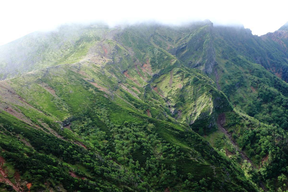 f:id:yamatori0422:20200918213949j:plain