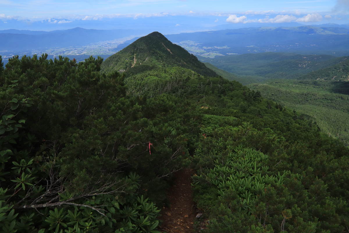 f:id:yamatori0422:20200929203755j:plain