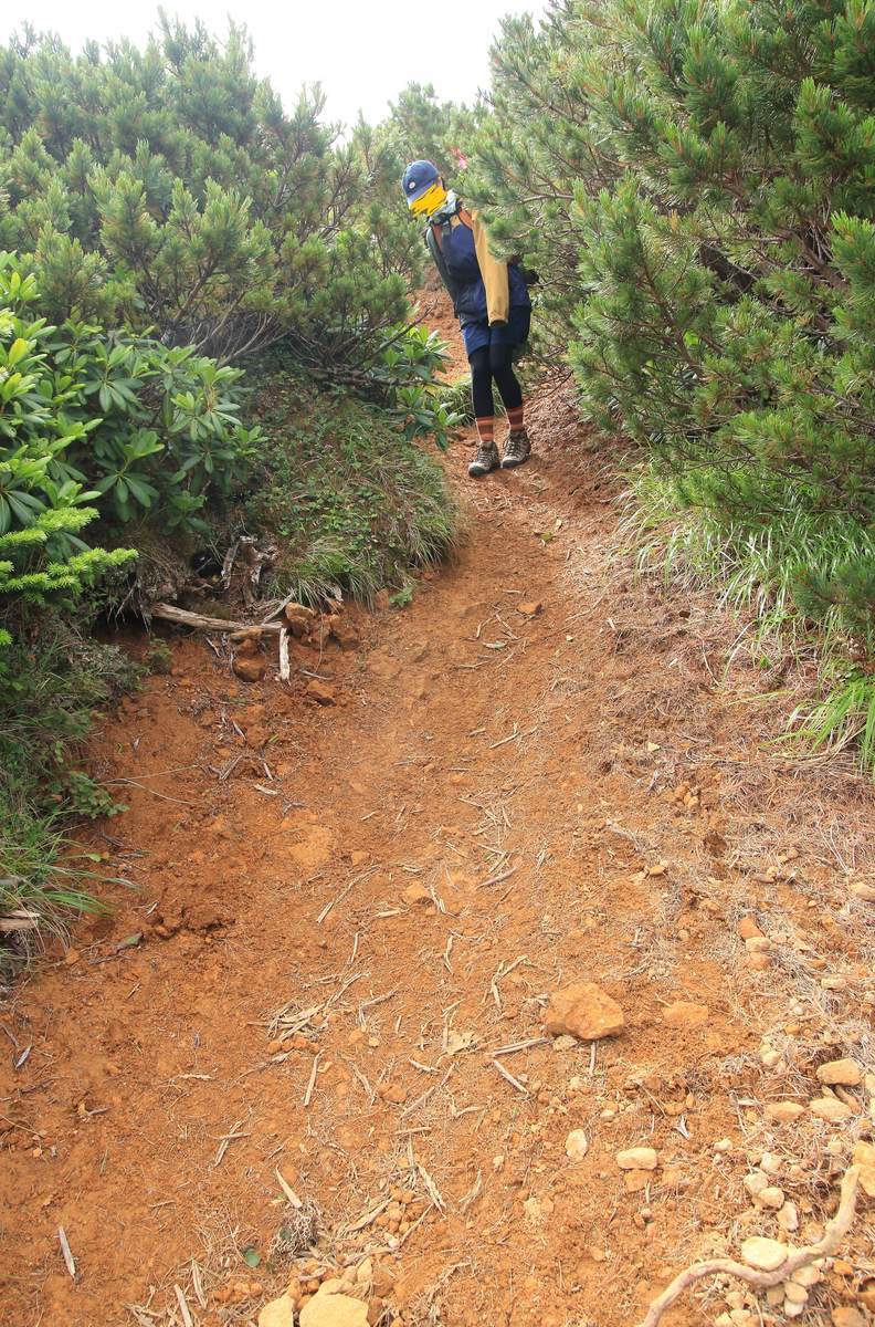 f:id:yamatori0422:20200929204851j:plain