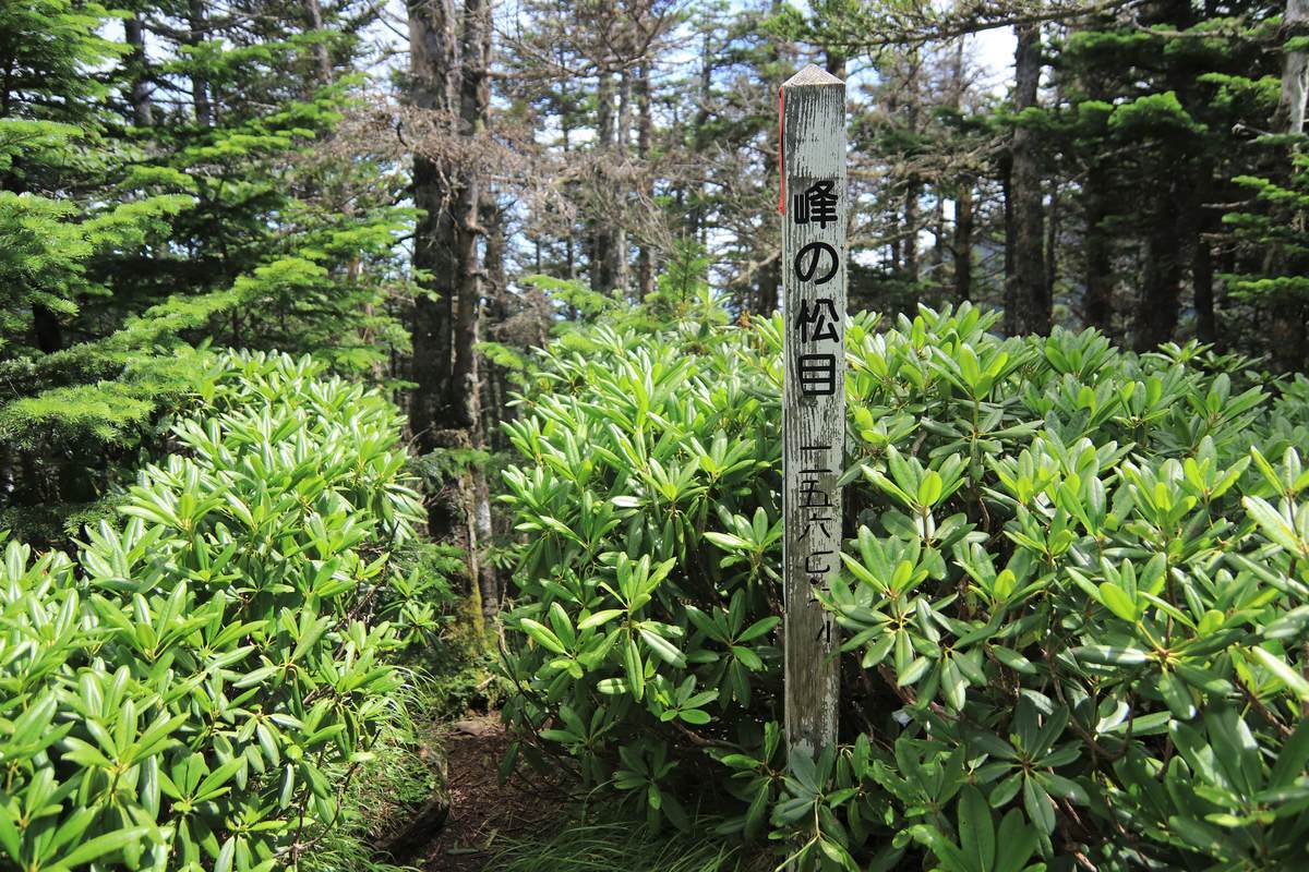 f:id:yamatori0422:20200929211116j:plain