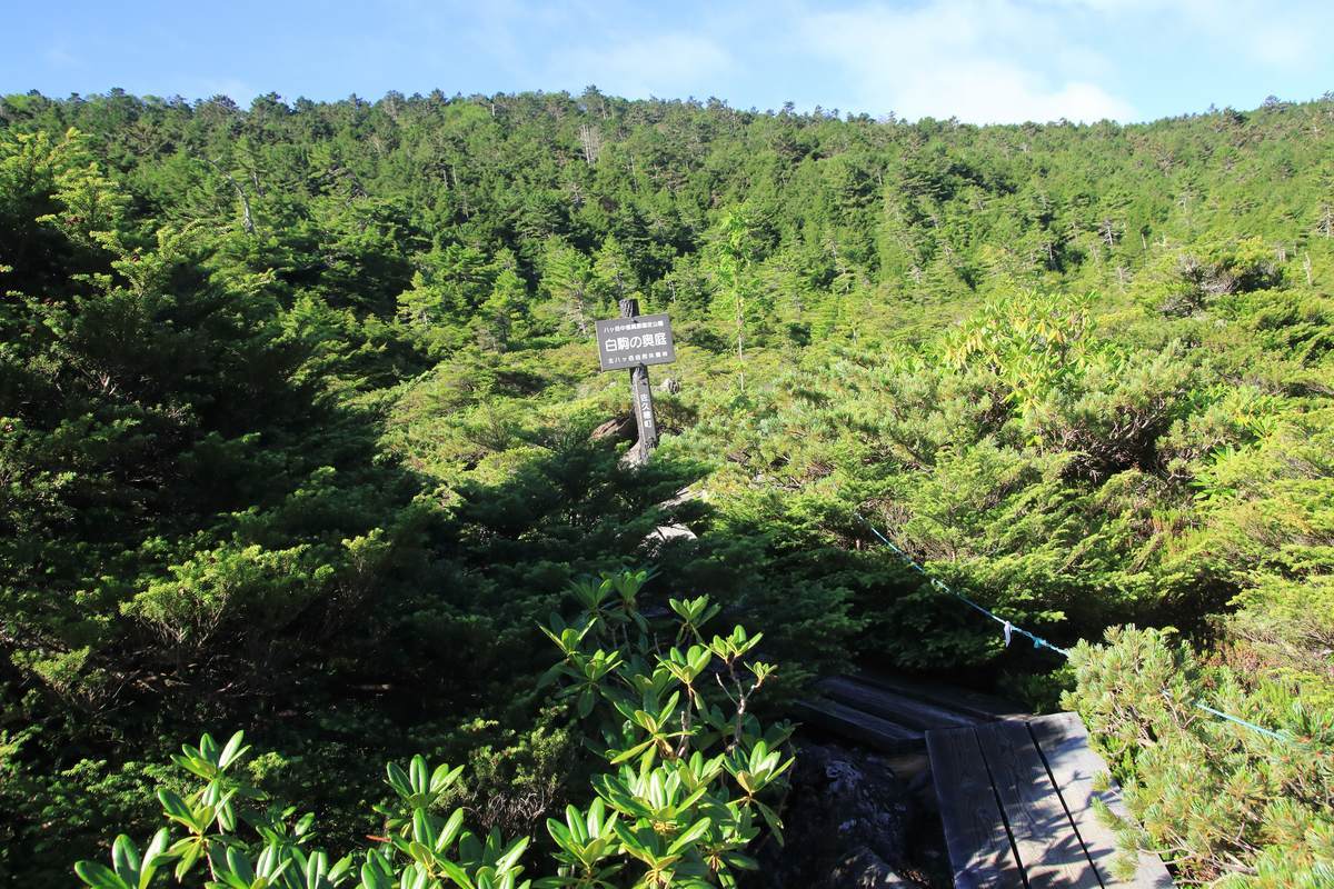 f:id:yamatori0422:20200930210139j:plain f:id:yamatori0422:20200930210139j:plain