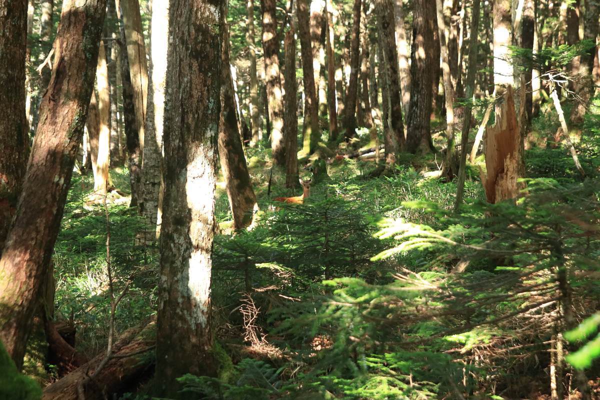 f:id:yamatori0422:20200930210548j:plain f:id:yamatori0422:20200930210548j:plain