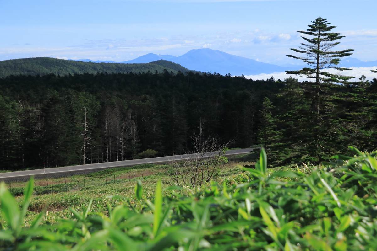 f:id:yamatori0422:20200930211124j:plain f:id:yamatori0422:20200930211124j:plain