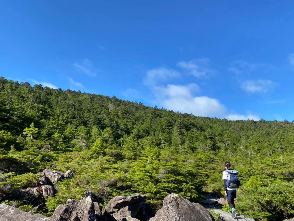 f:id:yamatori0422:20200930212609j:plain f:id:yamatori0422:20200930212609j:plain