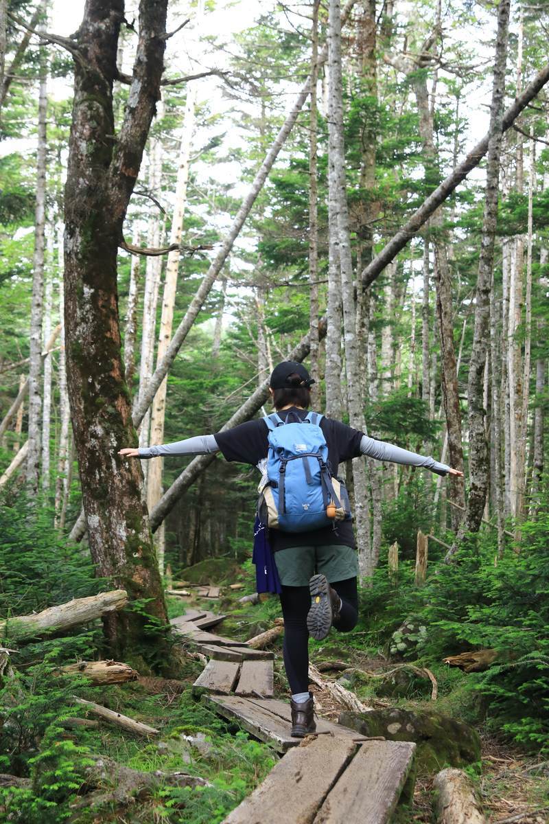 f:id:yamatori0422:20200930213234j:plain f:id:yamatori0422:20200930213234j:plain