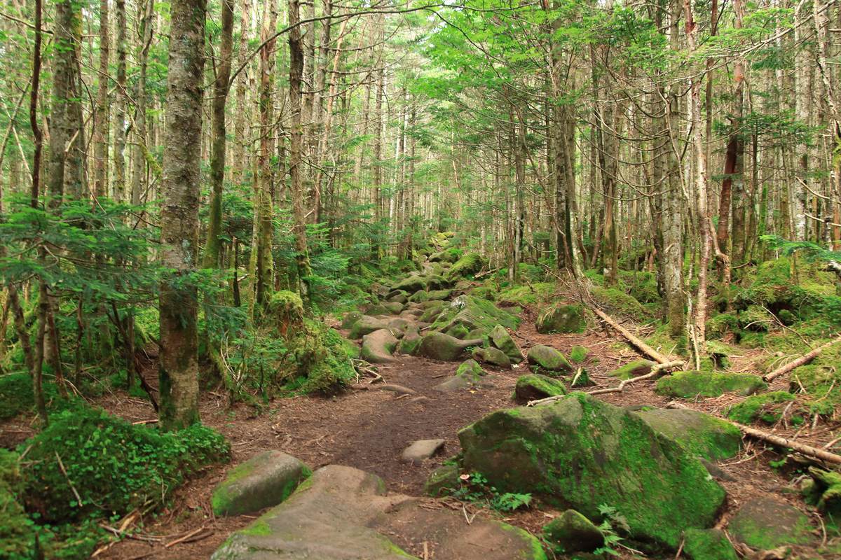 f:id:yamatori0422:20201001201529j:plain f:id:yamatori0422:20201001201529j:plain