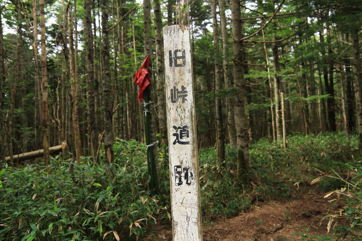 f:id:yamatori0422:20201001201708j:plain f:id:yamatori0422:20201001201708j:plain