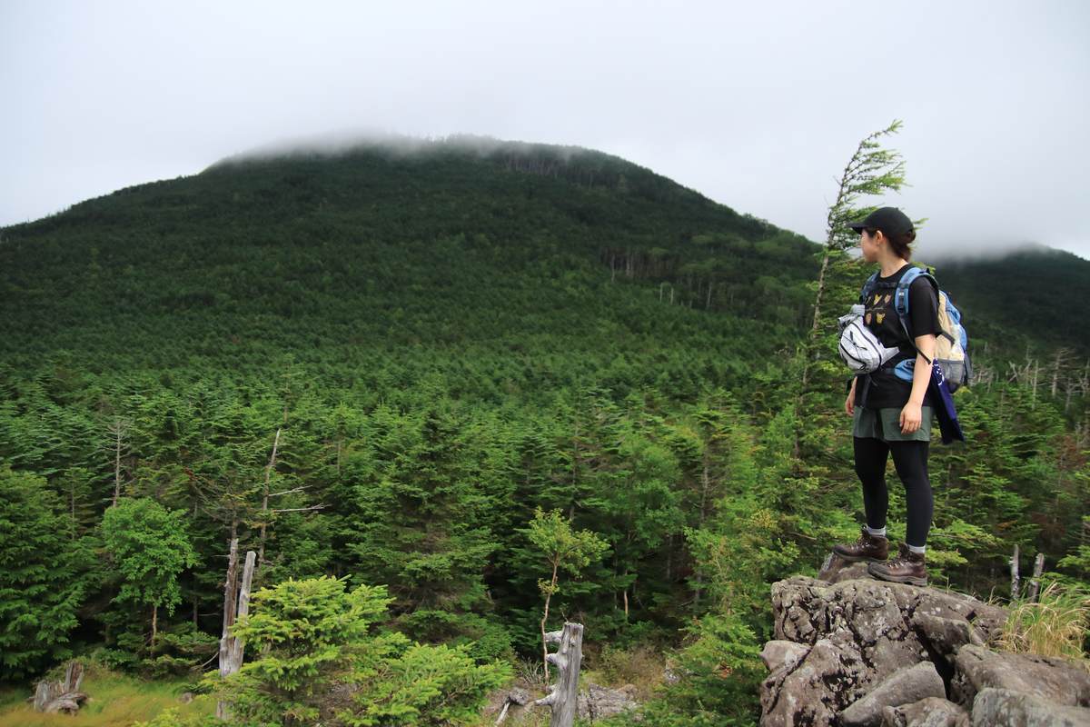 f:id:yamatori0422:20201002211224j:plain f:id:yamatori0422:20201002211224j:plain