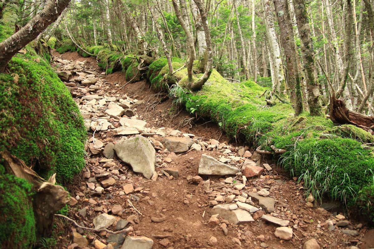 f:id:yamatori0422:20201002213549j:plain f:id:yamatori0422:20201002213549j:plain