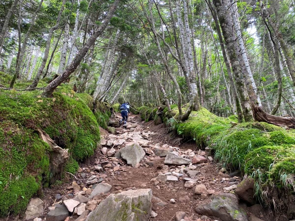 f:id:yamatori0422:20201002213911j:plain f:id:yamatori0422:20201002213911j:plain