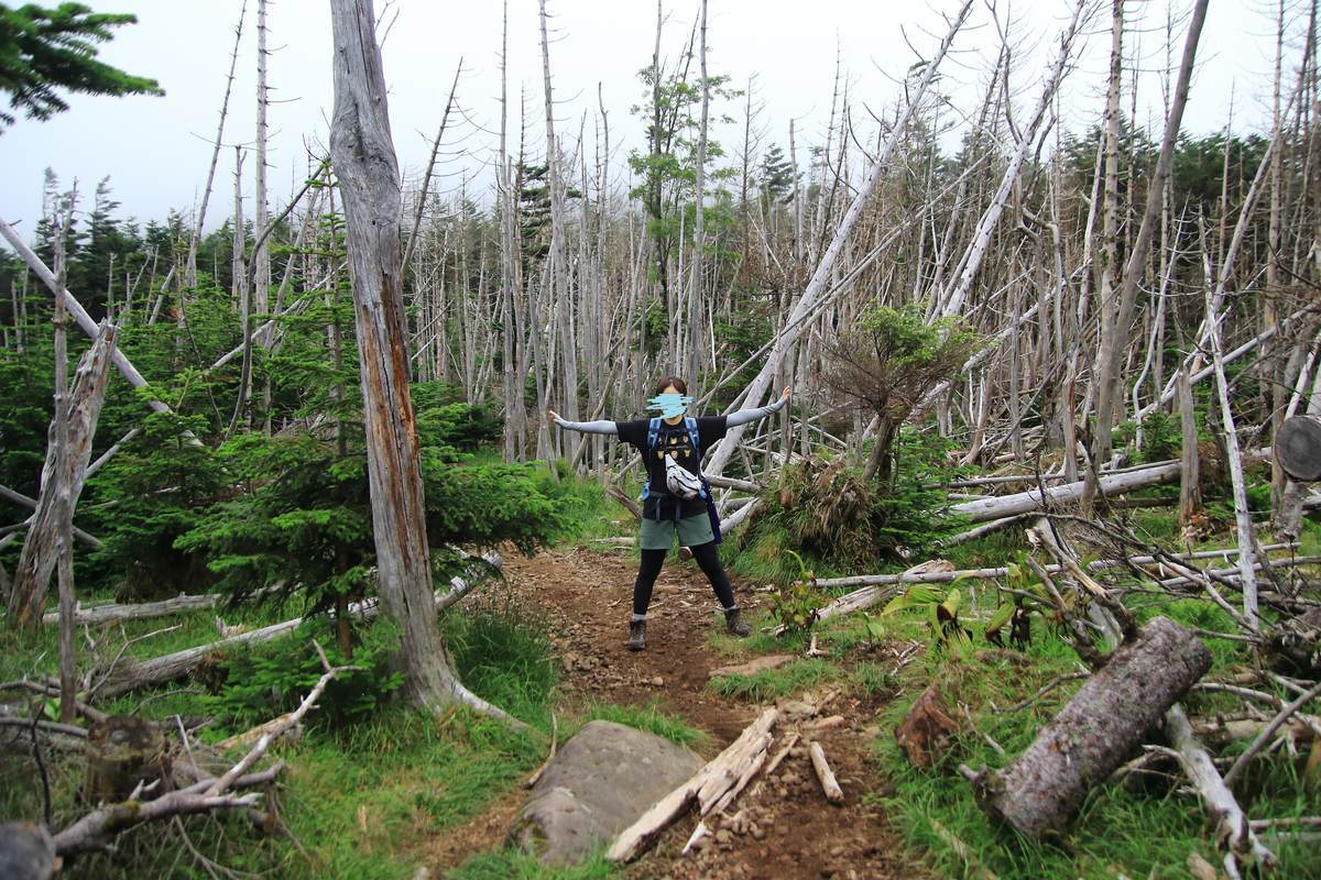 f:id:yamatori0422:20201003182057j:plain f:id:yamatori0422:20201003182057j:plain