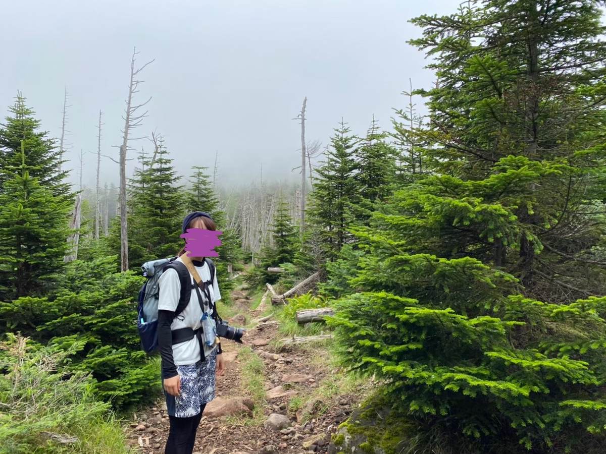 f:id:yamatori0422:20201003182743j:plain f:id:yamatori0422:20201003182743j:plain