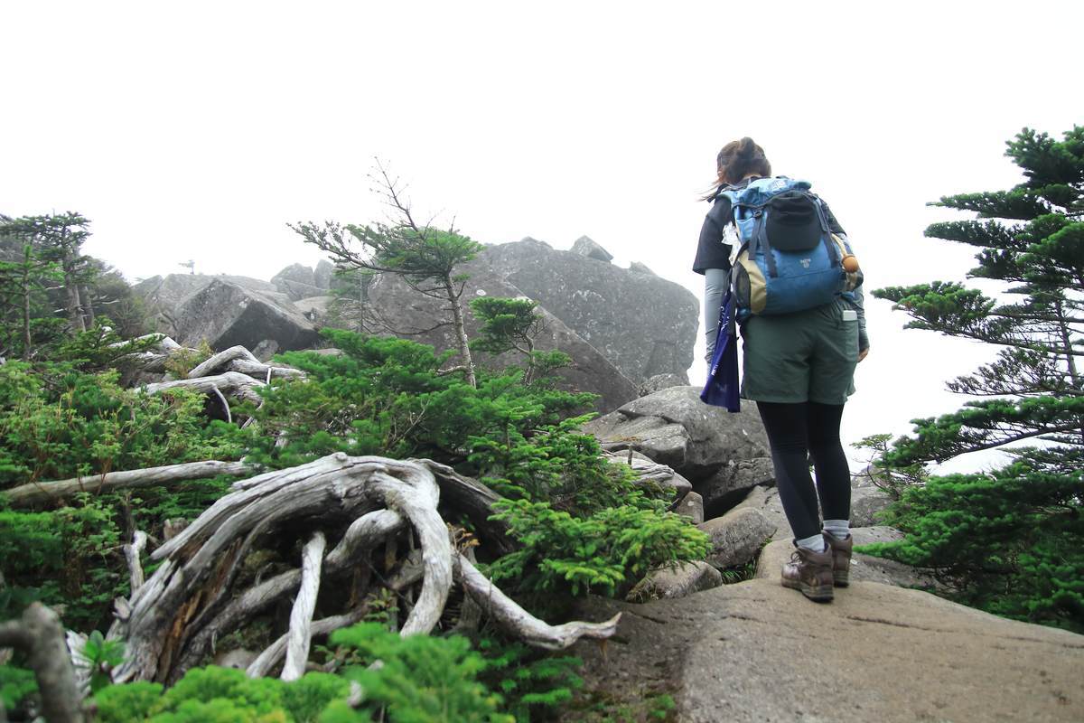 f:id:yamatori0422:20201003192830j:plain f:id:yamatori0422:20201003192830j:plain