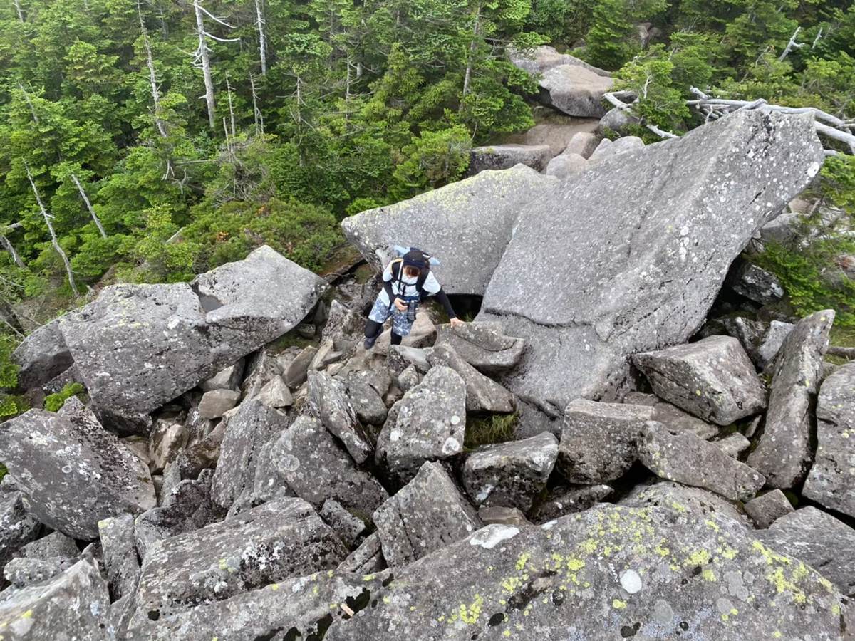 f:id:yamatori0422:20201003193157j:plain f:id:yamatori0422:20201003193157j:plain