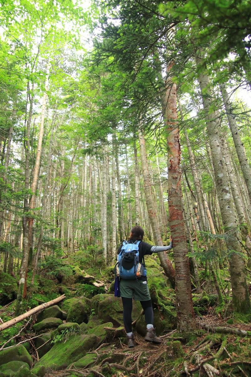 f:id:yamatori0422:20201003200020j:plain f:id:yamatori0422:20201003200020j:plain