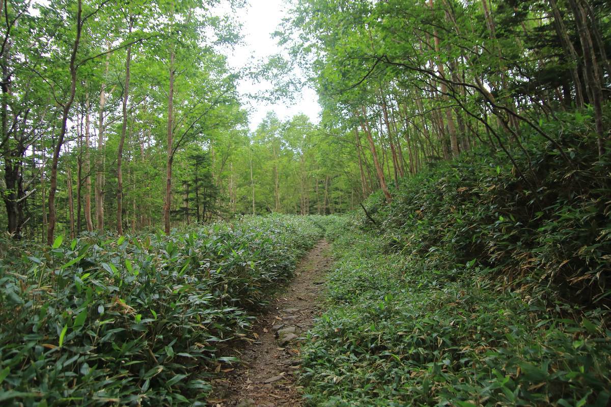 f:id:yamatori0422:20201003212404j:plain f:id:yamatori0422:20201003212404j:plain