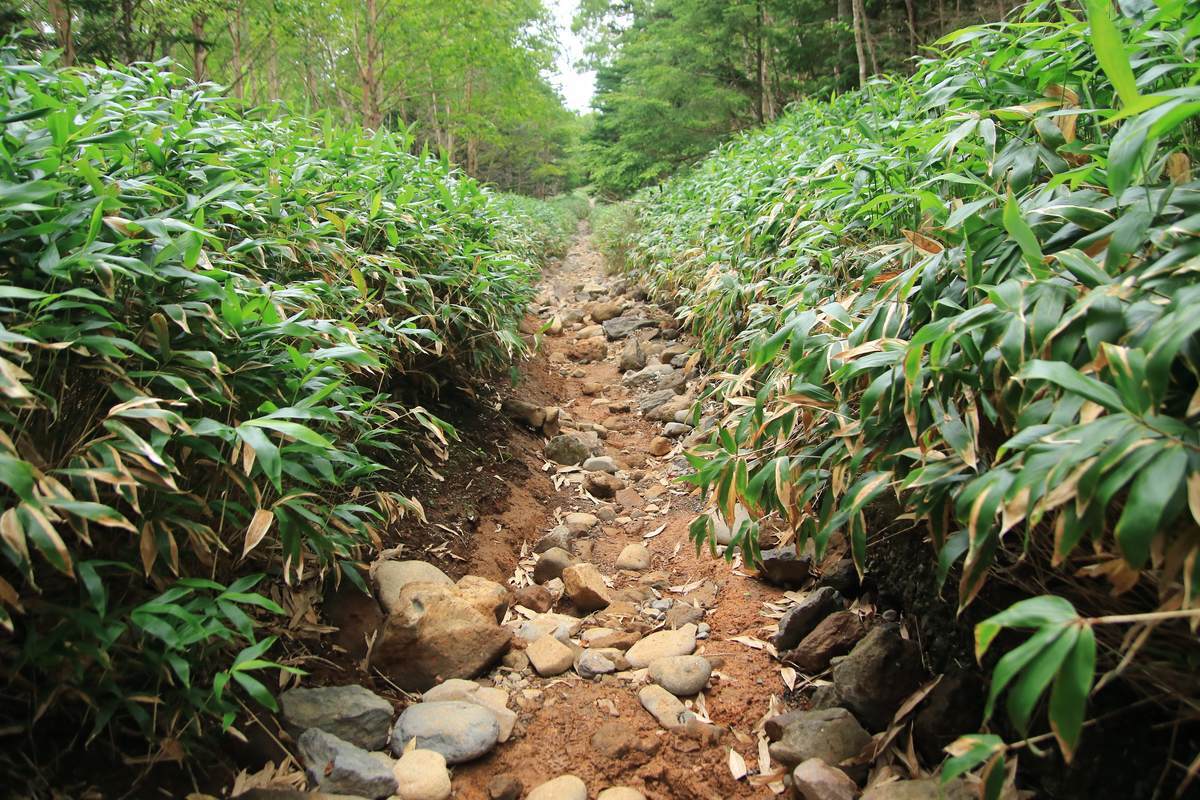 f:id:yamatori0422:20201003212909j:plain f:id:yamatori0422:20201003212909j:plain