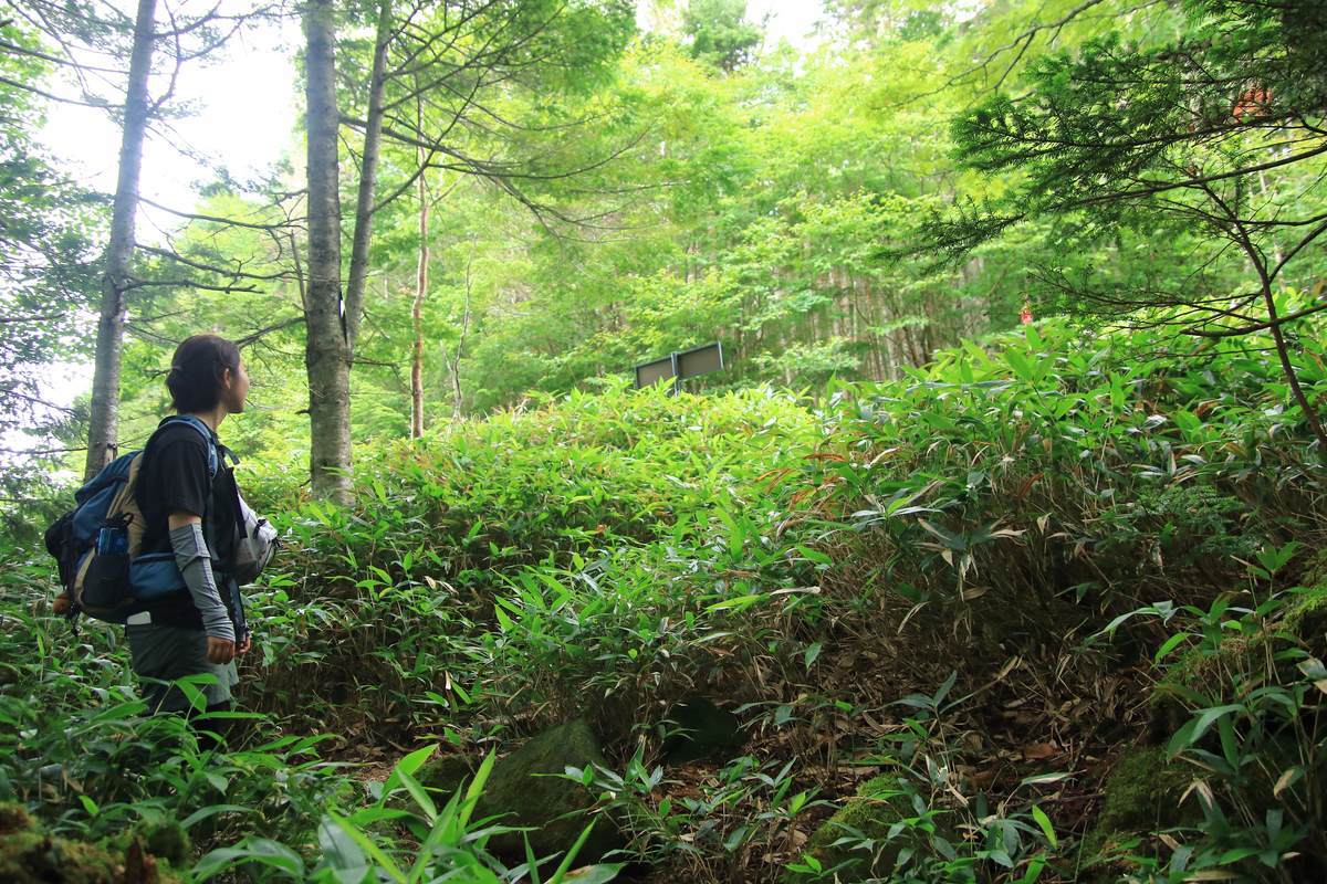 f:id:yamatori0422:20201003213416j:plain f:id:yamatori0422:20201003213416j:plain