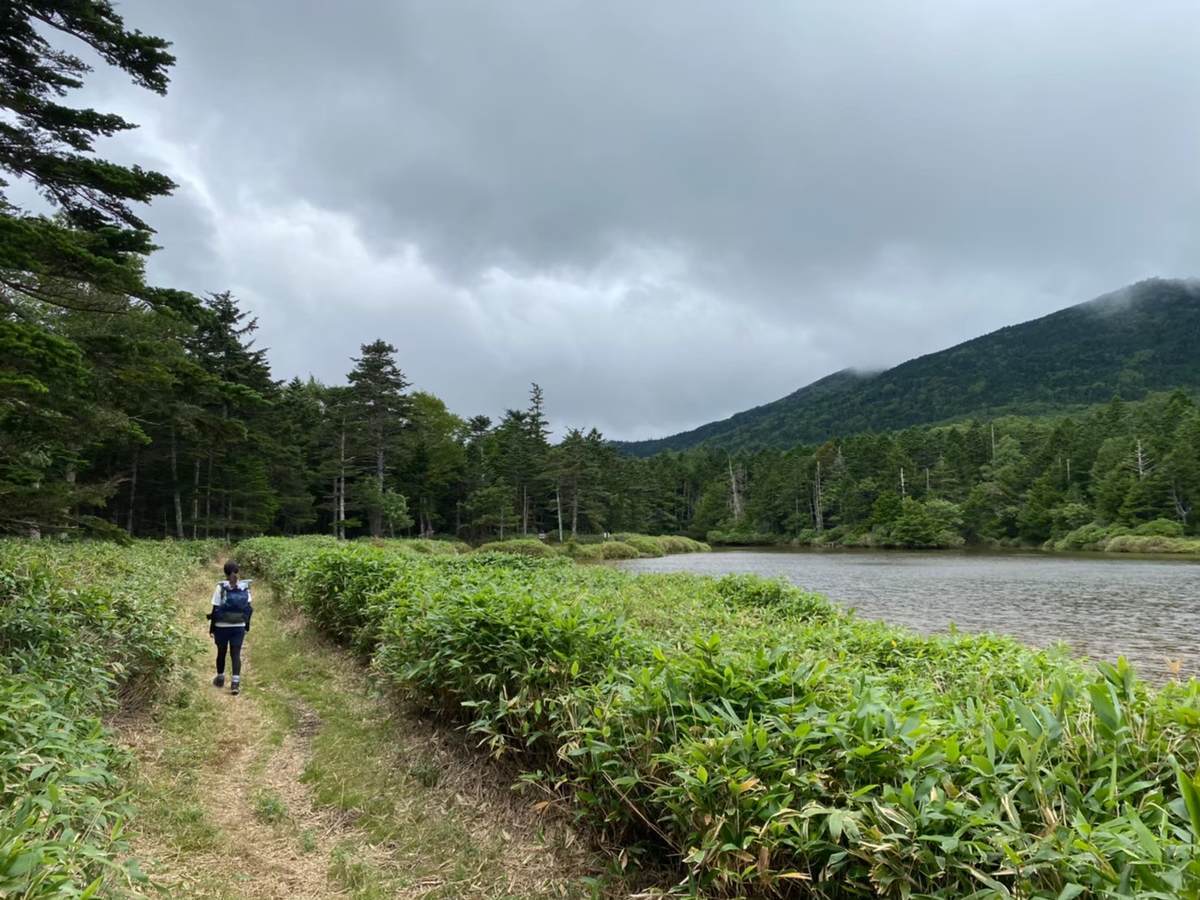 f:id:yamatori0422:20201004083921j:plain f:id:yamatori0422:20201004083921j:plain