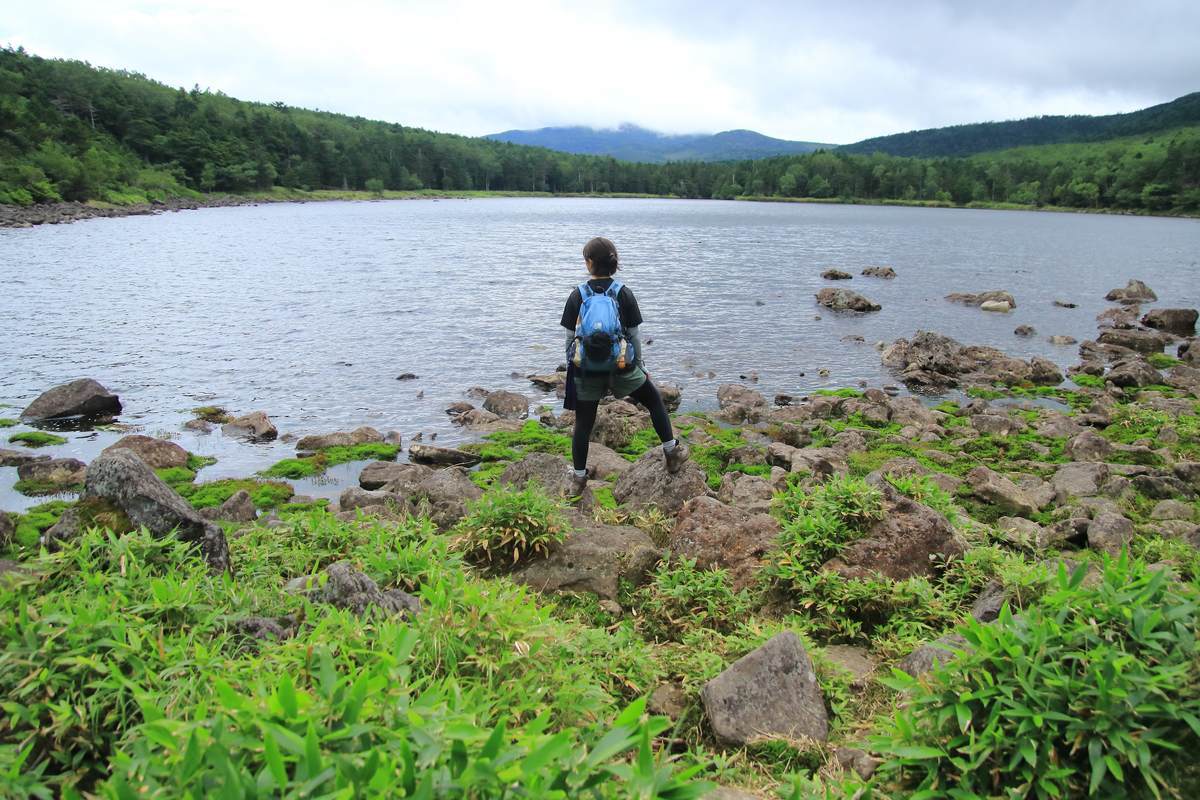 f:id:yamatori0422:20201004085119j:plain f:id:yamatori0422:20201004085119j:plain