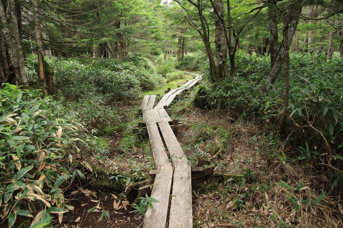 f:id:yamatori0422:20201004091627j:plain f:id:yamatori0422:20201004091627j:plain