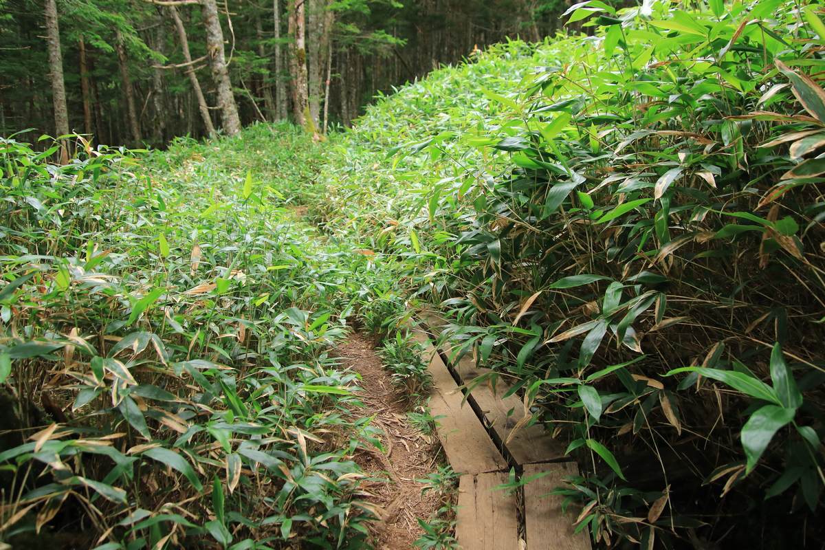 f:id:yamatori0422:20201004093859j:plain f:id:yamatori0422:20201004093859j:plain