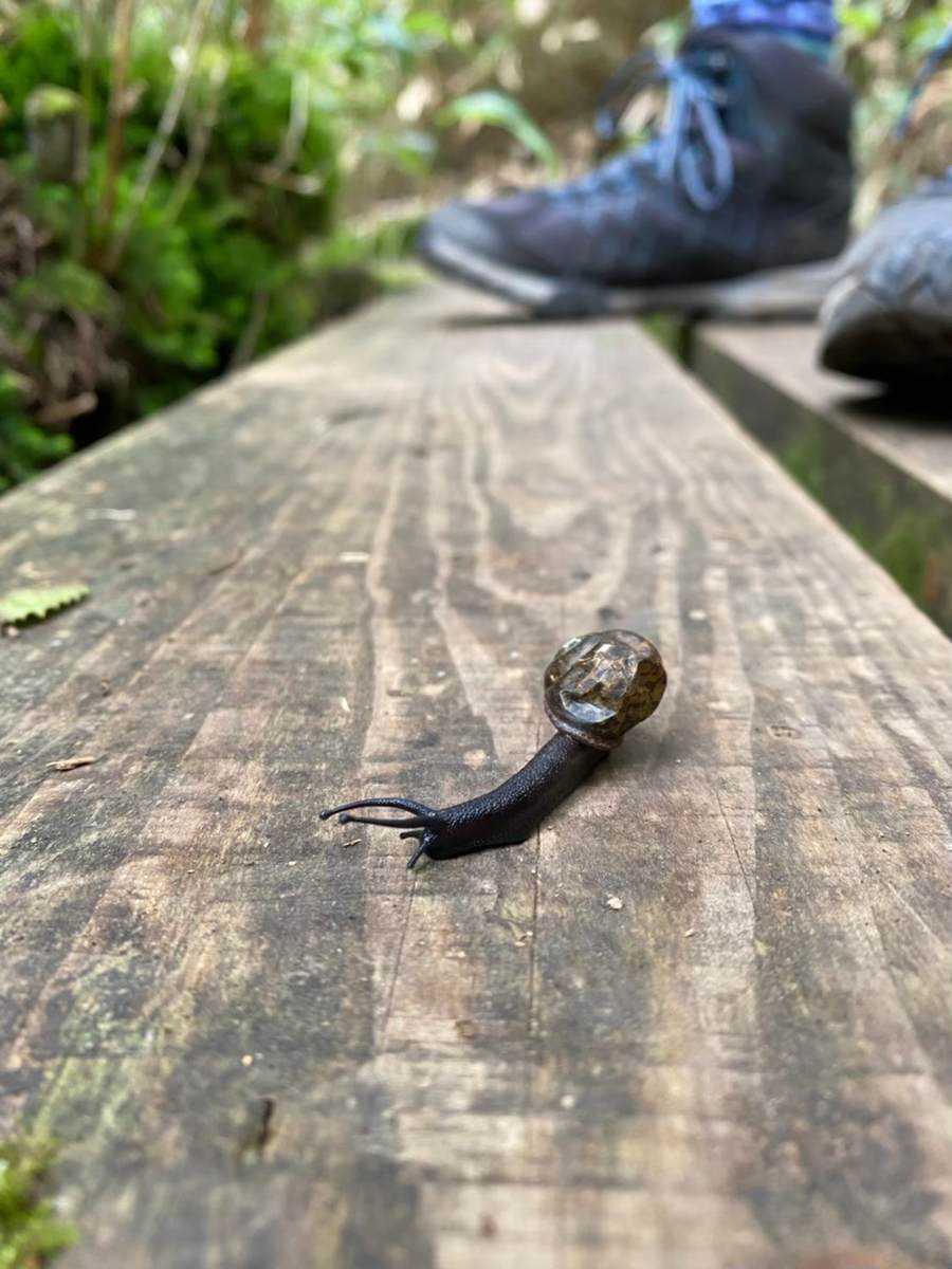 f:id:yamatori0422:20201004094749j:plain f:id:yamatori0422:20201004094749j:plain