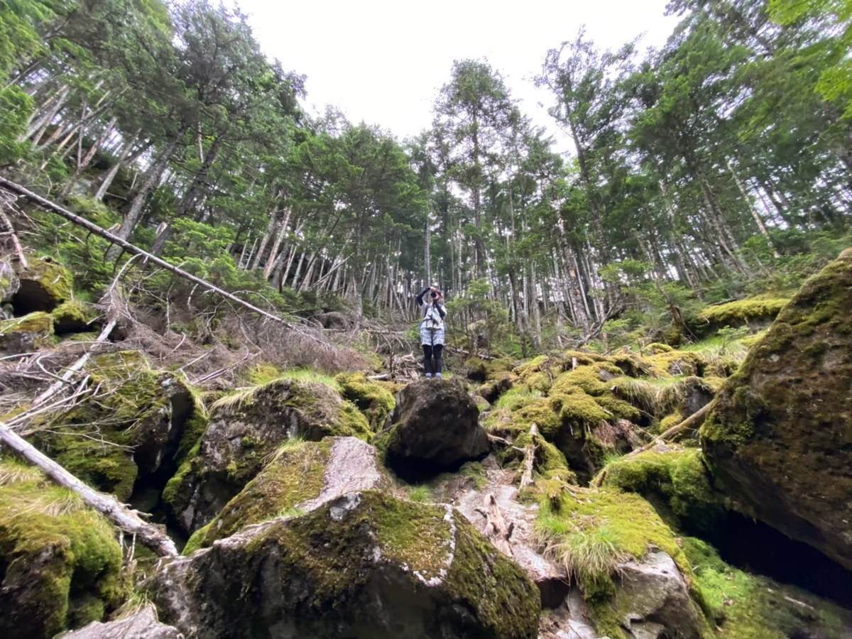 f:id:yamatori0422:20201004101148j:plain f:id:yamatori0422:20201004101148j:plain