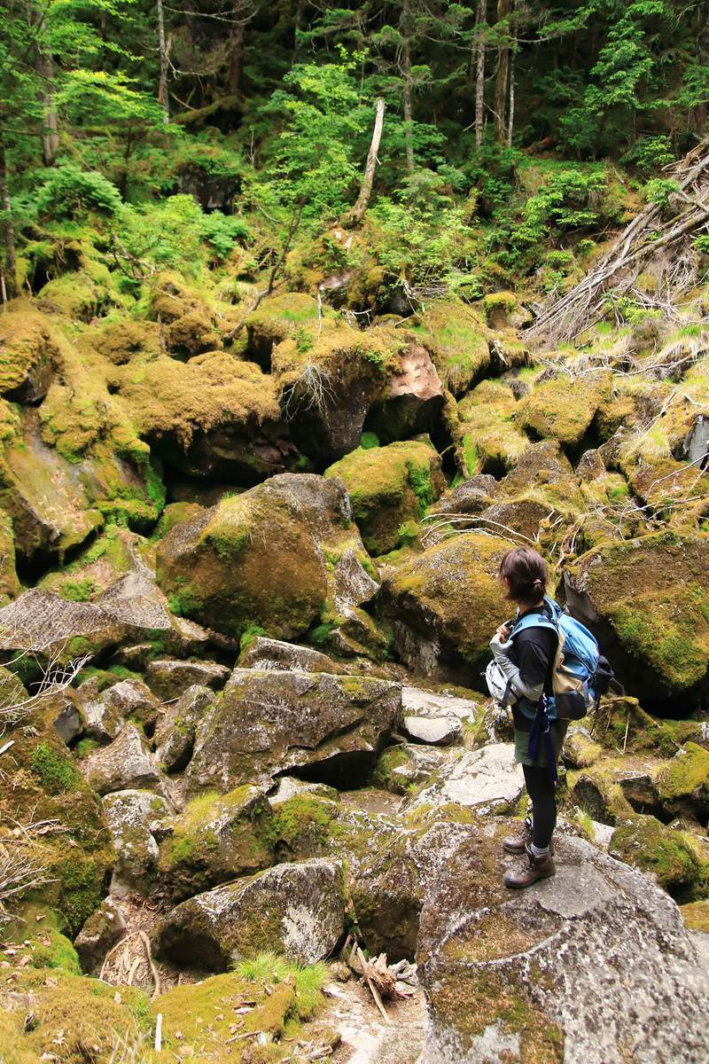 f:id:yamatori0422:20201004101610j:plain f:id:yamatori0422:20201004101610j:plain