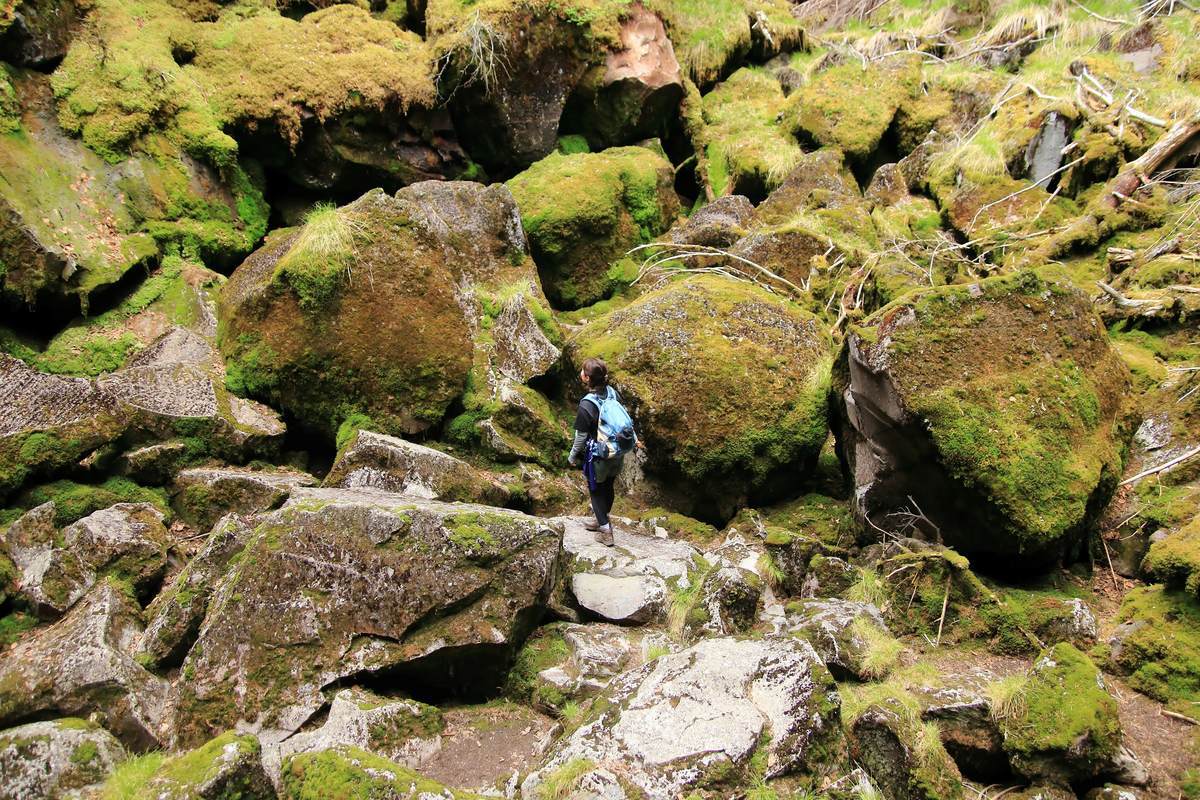 f:id:yamatori0422:20201004102200j:plain f:id:yamatori0422:20201004102200j:plain