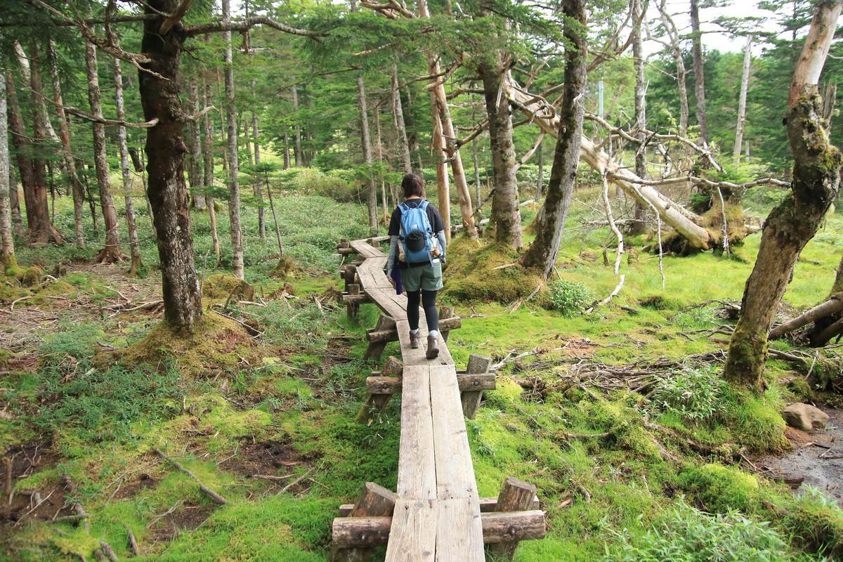 f:id:yamatori0422:20201004102908j:plain f:id:yamatori0422:20201004102908j:plain