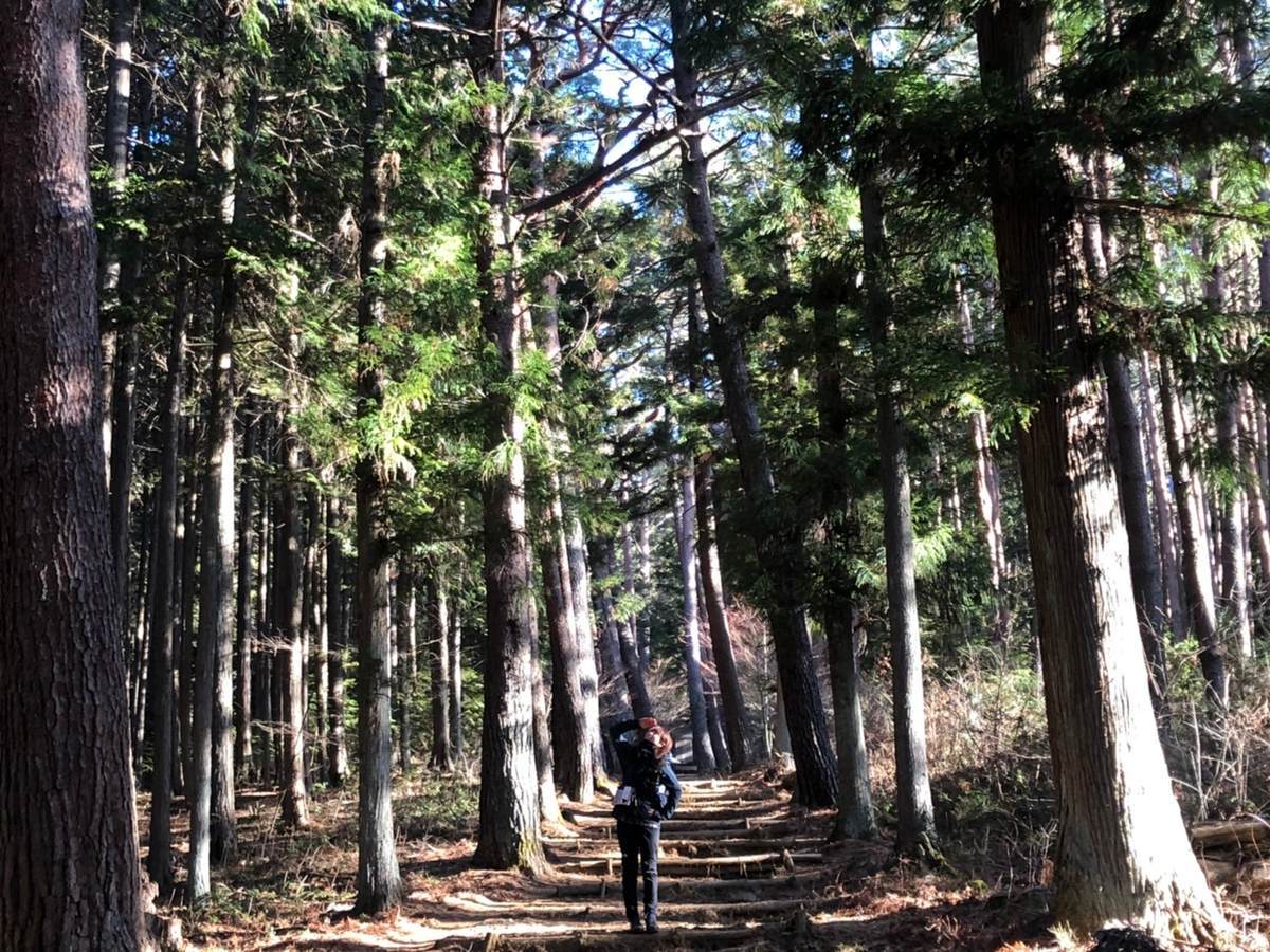 f:id:yamatori0422:20210104145623j:plain