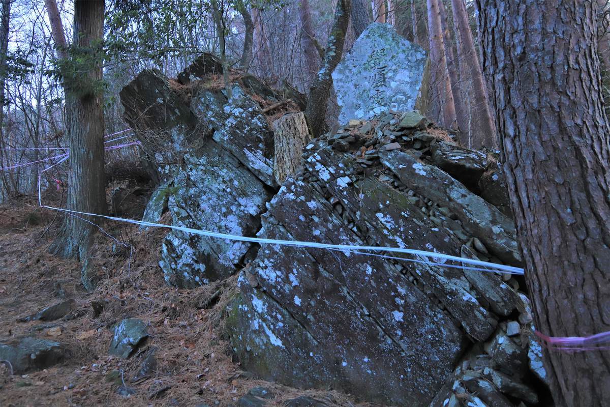 f:id:yamatori0422:20210104150915j:plain