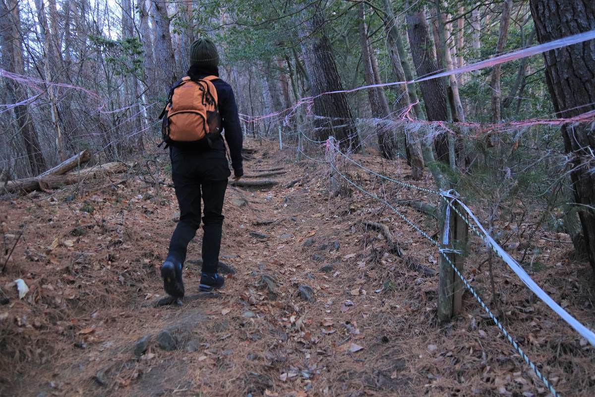 f:id:yamatori0422:20210104154337j:plain