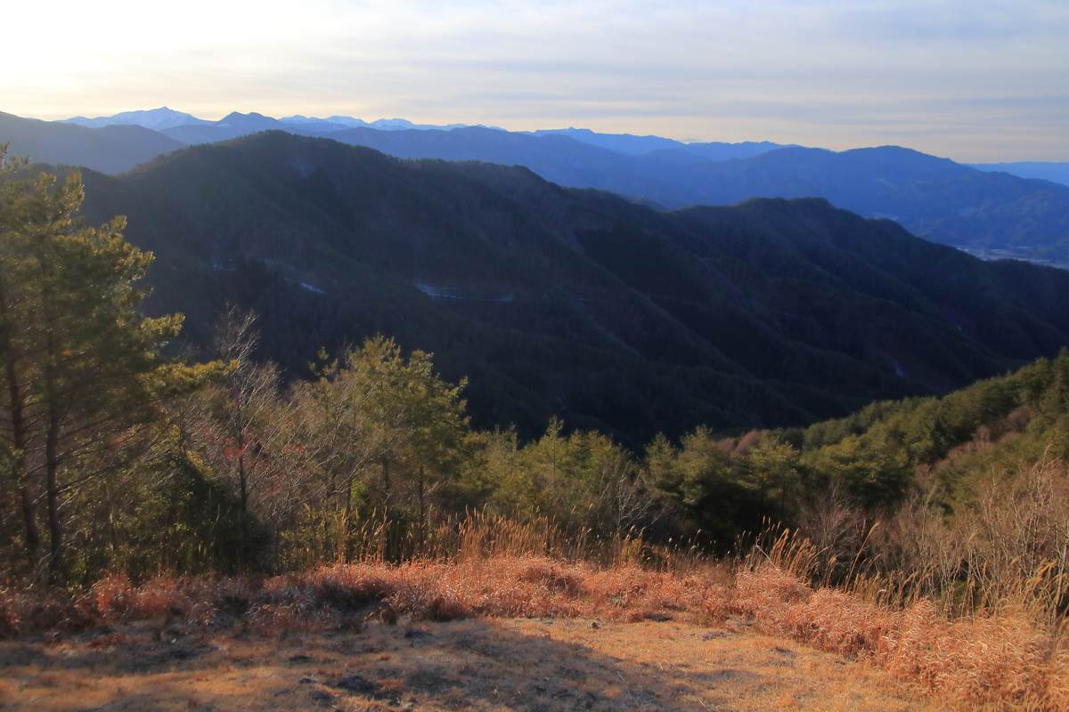 f:id:yamatori0422:20210104161036j:plain