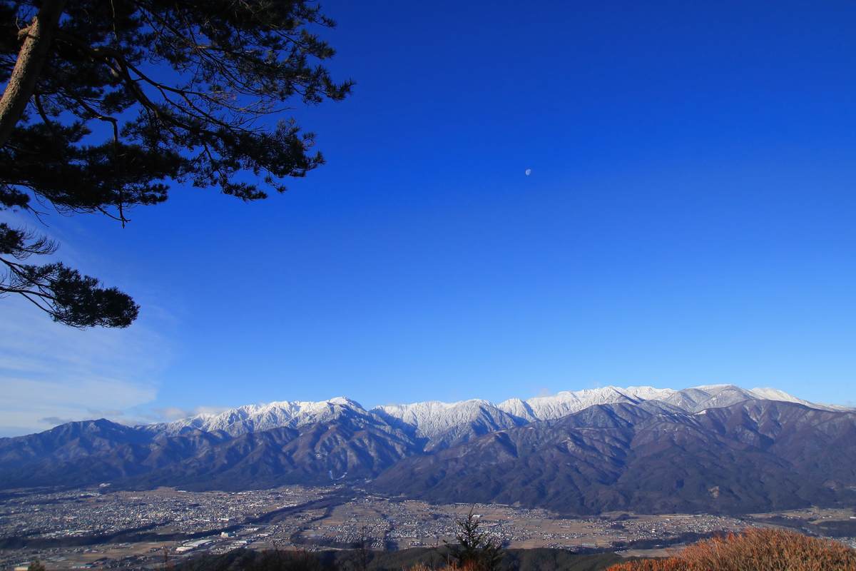 f:id:yamatori0422:20210104161311j:plain