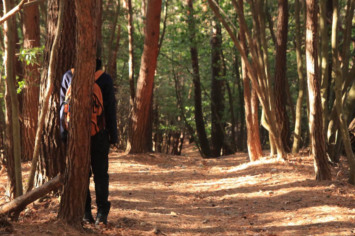 f:id:yamatori0422:20210104161544j:plain