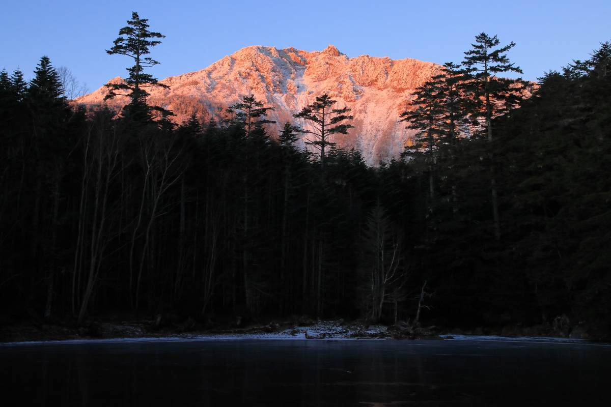 f:id:yamatori0422:20211128111129j:plain