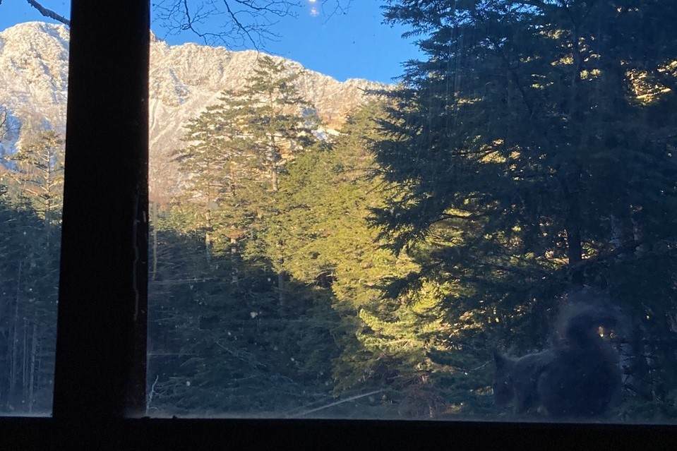 f:id:yamatori0422:20211128164155j:plain