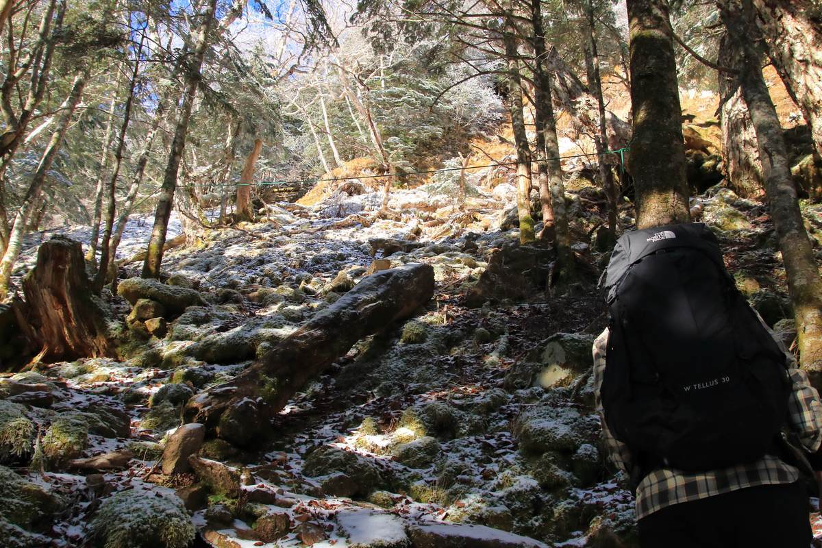 f:id:yamatori0422:20211128170228j:plain