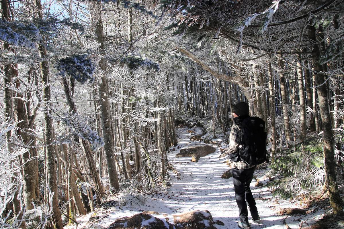 f:id:yamatori0422:20211204101116j:plain