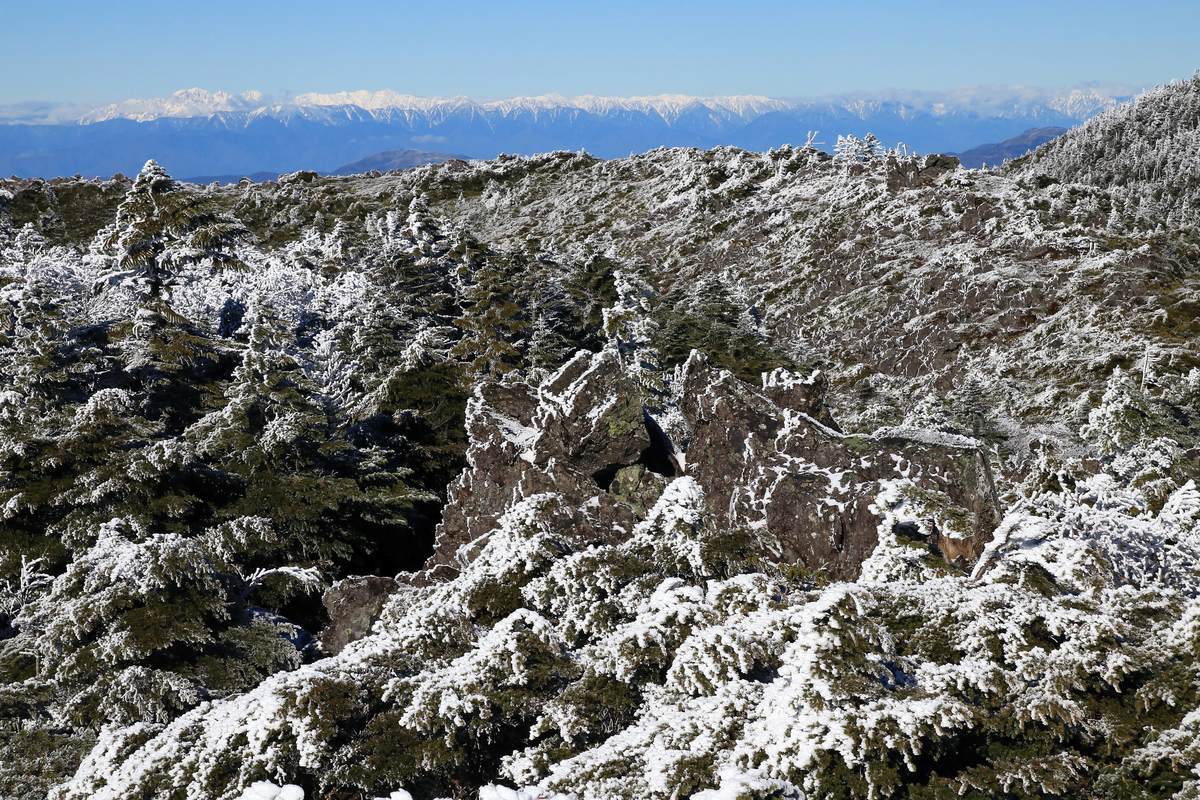 f:id:yamatori0422:20211204101731j:plain